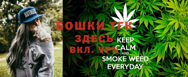 дмт Кинешма
