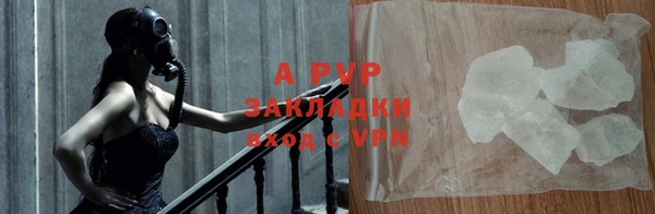 индика Карпинск