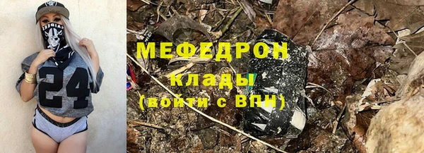 индика Карпинск