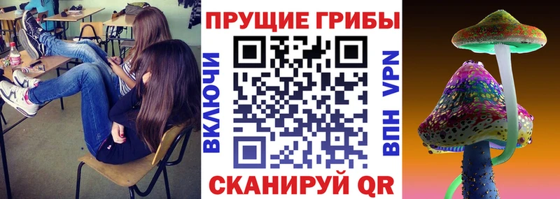 магазин  наркотиков  это официальный сайт  Псилоцибиновые грибы Magic Shrooms  Краснозаводск 